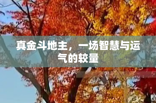 真金斗地主,一场智慧与运气的较量 真金斗地主,一场智慧与运气的较量