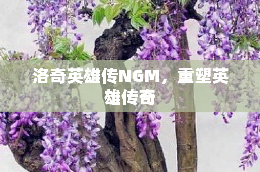 洛奇英雄传NGM，重塑英雄传奇