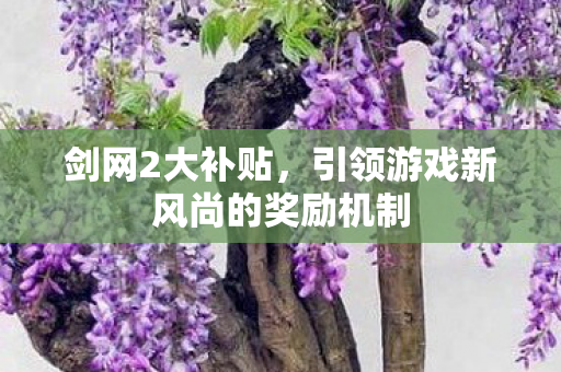 剑网2大补贴，引领游戏新风尚的奖励机制