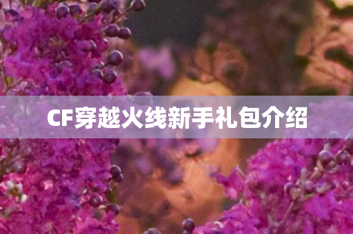 CF穿越火线新手礼包介绍