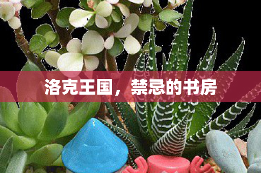 洛克王国，禁忌的书房