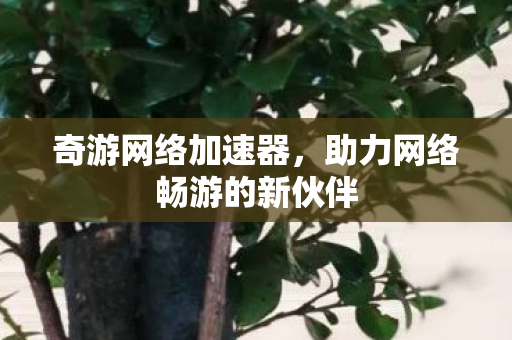 奇游网络加速器,助力网络畅游的新伙伴 奇游网络加速器,助力网络畅游的新伙伴