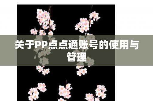 关于PP点点通账号的使用与管理