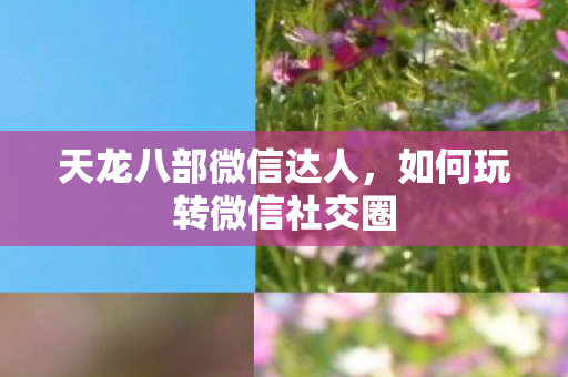 天龙八部微信达人，如何玩转微信社交圈