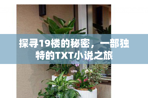 探寻19楼的秘密，一部独特的TXT小说之旅