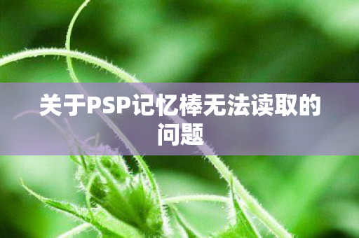 关于PSP记忆棒无法读取的问题
