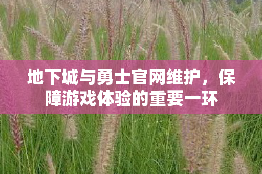 地下城与勇士官网维护，保障游戏体验的重要一环