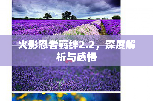 火影忍者羁绊2.2，深度解析与感悟