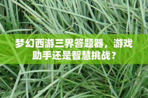 梦幻西游三界答题器，游戏助手还是智慧挑战？