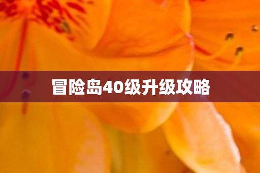 冒险岛40级升级攻略
