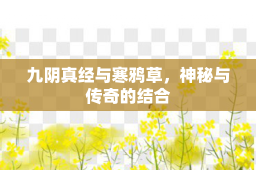 九阴真经与寒鸦草，神秘与传奇的结合