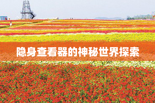 隐身查看器的神秘世界探索