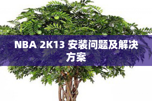 NBA 2K13 安装问题及解决方案