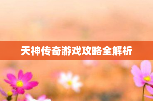 天神传奇游戏攻略全解析