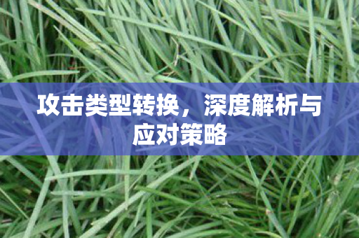 攻击类型转换，深度解析与应对策略