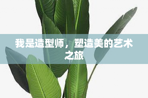 我是造型师，塑造美的艺术之旅