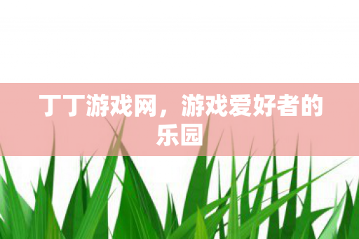 丁丁游戏网，游戏爱好者的乐园