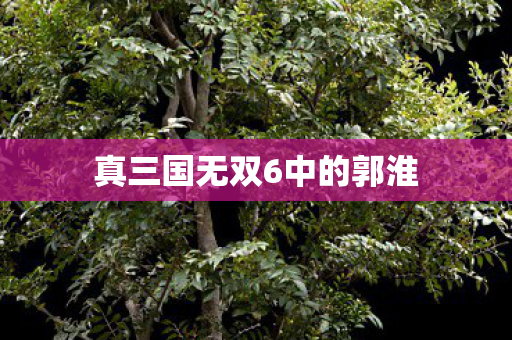 真三国无双6中的郭淮