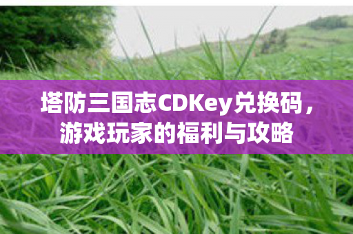塔防三国志CDKey兑换码，游戏玩家的福利与攻略