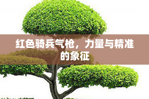 红色骑兵气枪，力量与精准的象征