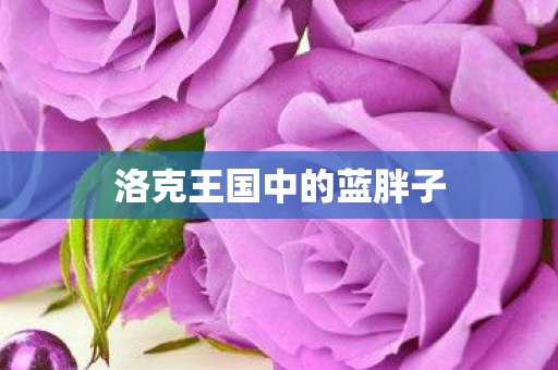 洛克王国中的蓝胖子