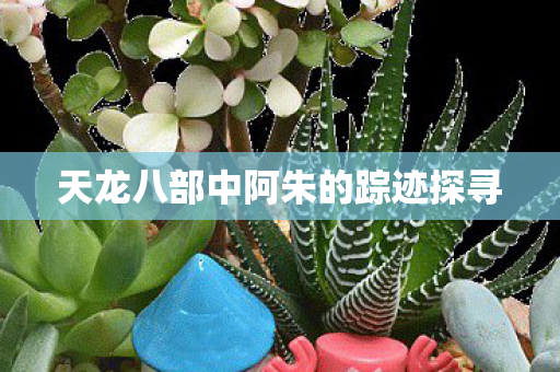 天龙八部中阿朱的踪迹探寻