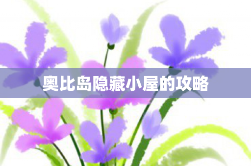 奥比岛隐藏小屋的攻略