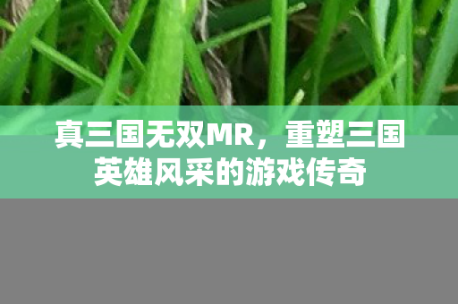 真三国无双MR，重塑三国英雄风采的游戏传奇