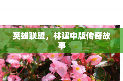 英雄联盟,林建中版传奇故事 英雄联盟,林建中版传奇故事