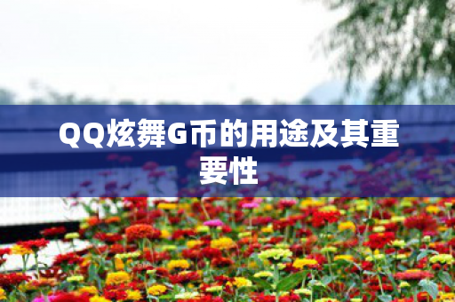 QQ炫舞G币的用途及其重要性