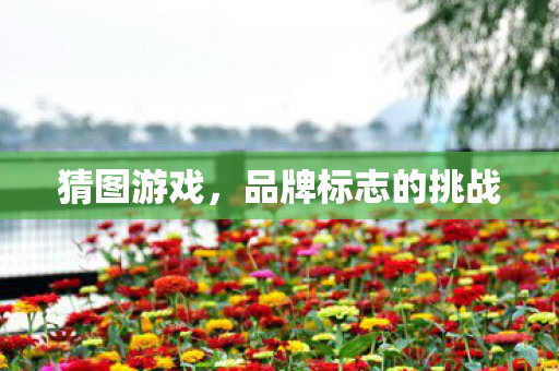 猜图游戏,品牌标志的挑战