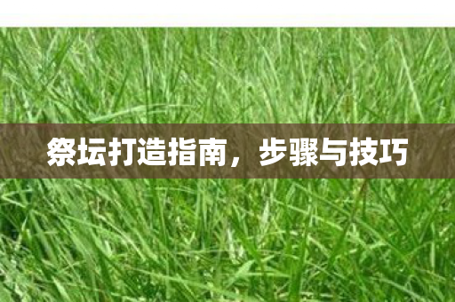 祭坛打造指南,步骤与技巧