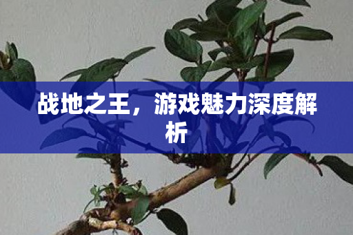 战地之王，游戏魅力深度解析