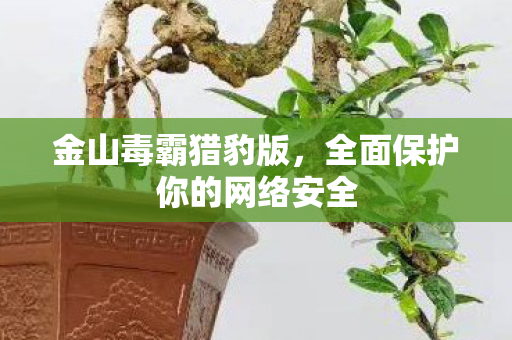 金山毒霸猎豹版，全面保护你的网络安全