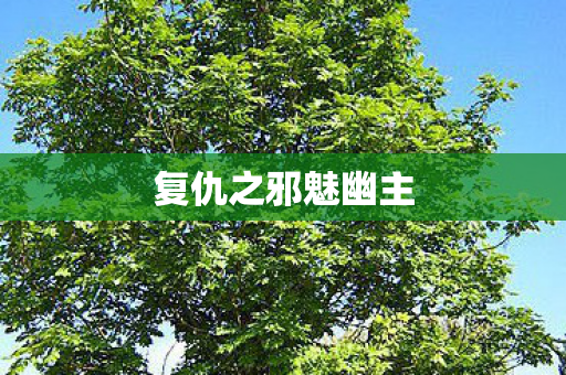 复仇之邪魅幽主 复仇之邪魅幽主