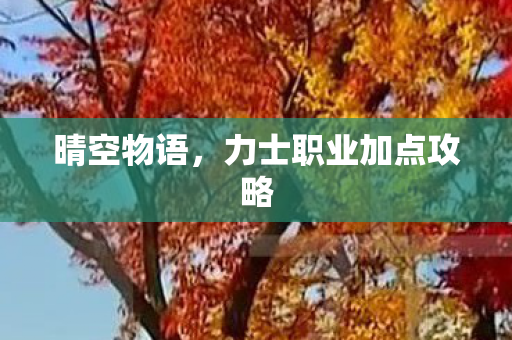 晴空物语,力士职业加点攻略