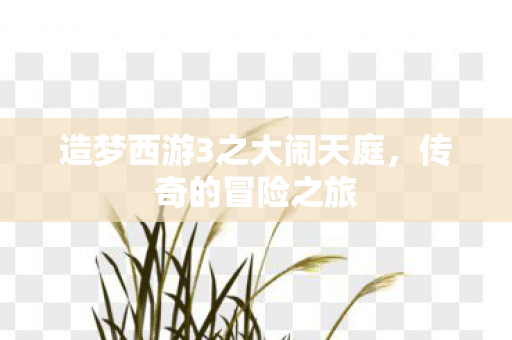 造梦西游3之大闹天庭,传奇的冒险之旅