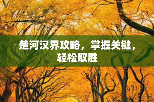 楚河汉界攻略，掌握关键，轻松取胜