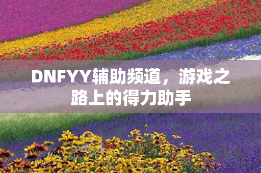 DNFYY辅助频道，游戏之路上的得力助手