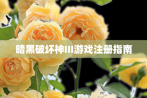 暗黑破坏神III游戏注册指南