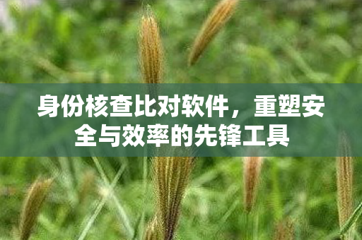 身份核查比对软件，重塑安全与效率的先锋工具