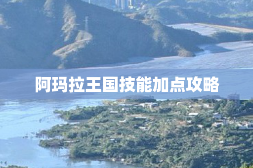 阿玛拉王国技能加点攻略