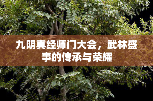 九阴真经师门大会，武林盛事的传承与荣耀
