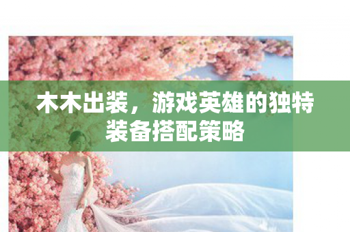 木木出装，游戏英雄的独特装备搭配策略