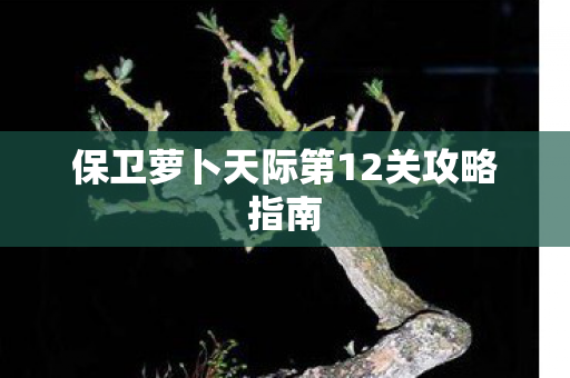 保卫萝卜天际第12关攻略指南