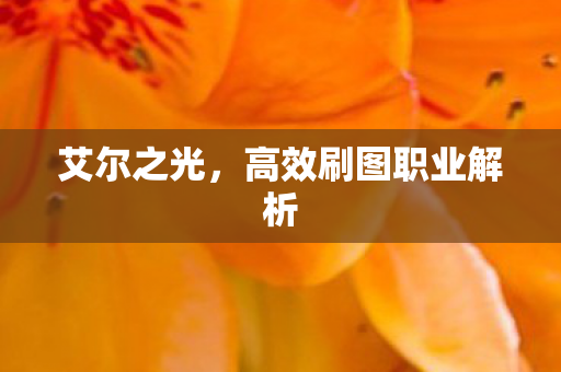 艾尔之光，高效刷图职业解析