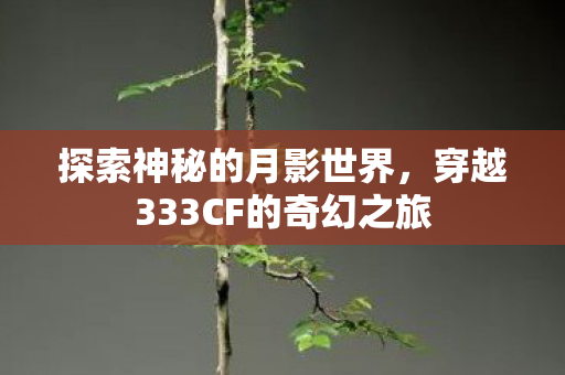 探索神秘的月影世界，穿越333CF的奇幻之旅