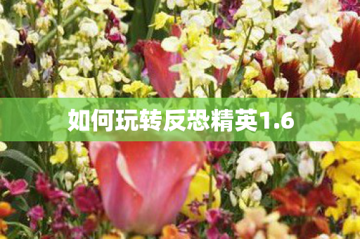 如何玩转反恐精英1.6