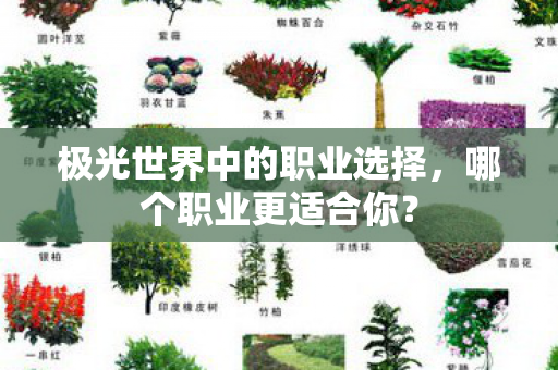 极光世界中的职业选择，哪个职业更适合你？