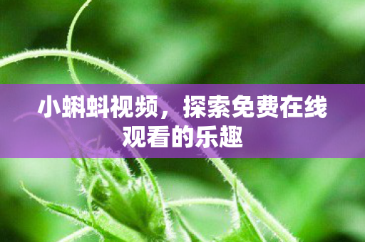 小蝌蚪视频，探索免费在线观看的乐趣